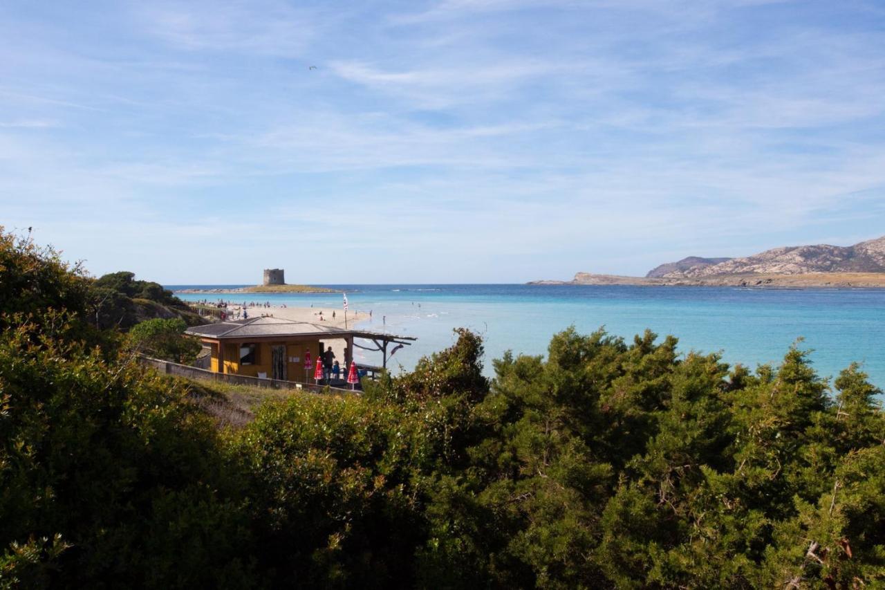 Panorama Sul Mare Villa สตินติโน ภายนอก รูปภาพ